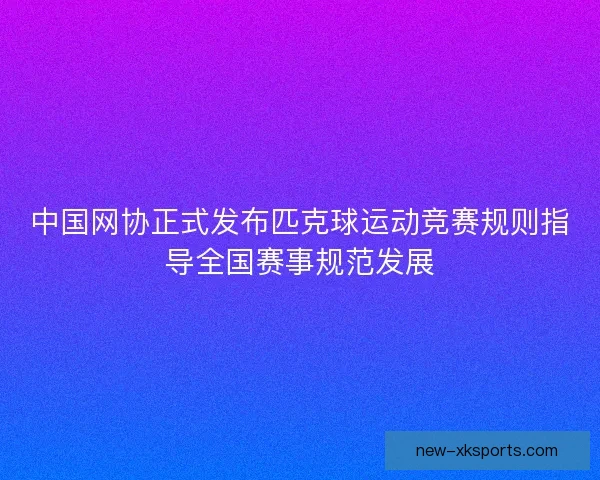 中国网协正式发布匹克球运动竞赛规则指导全国赛事规范发展